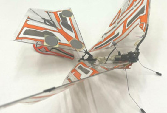 DAB : Drone à Ailes Battantes et Biomimétisme en Robotique