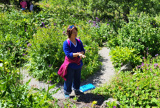 Journée partenariale Jardin du Lautaret et GIPSA-lab
